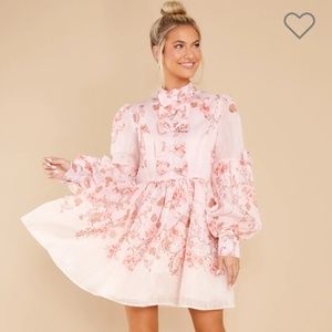Floral Print Blush Mini Dress With Bows